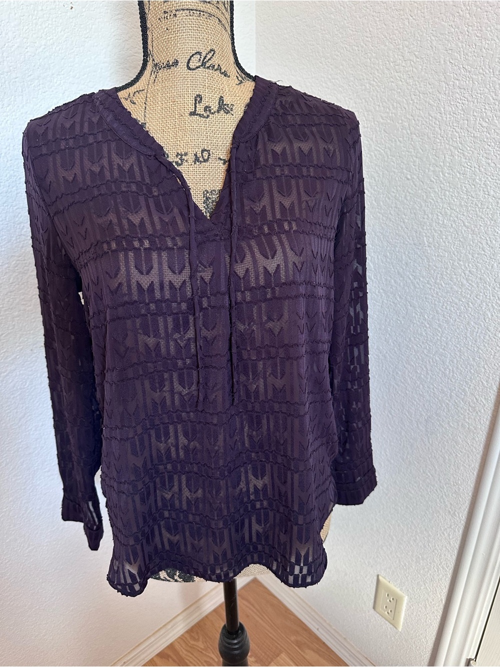 Women's Sheer Textured V-Neck Blouse - Deep Plum
